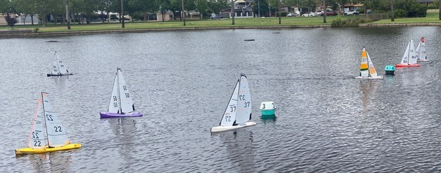 wanderers files/Wanderers 2024/df95 19-11-24.jpg